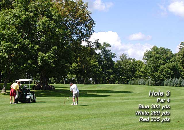 Hole 3 at MAPLE RIDGE GOLF COURSE - Click for next
 photo