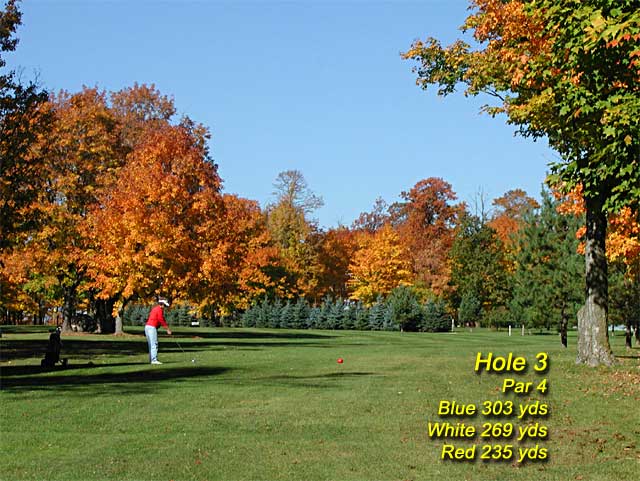 Hole 3 at MAPLE RIDGE GOLF COURSE - Click for next photo