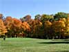 Hole 5