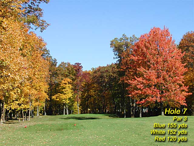 Hole 7 at MAPLE RIDGE GOLF COURSE - Click for next photo